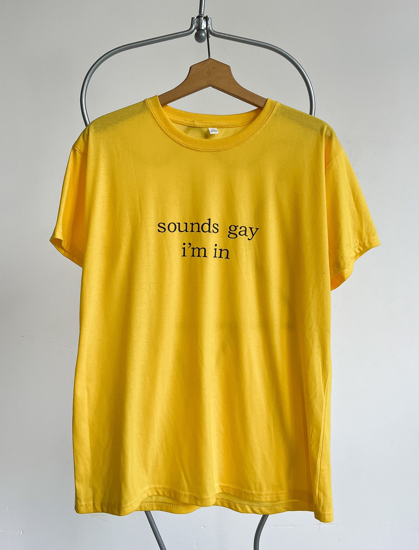 JOANN - sounds gay i'm in shirt - XXXL