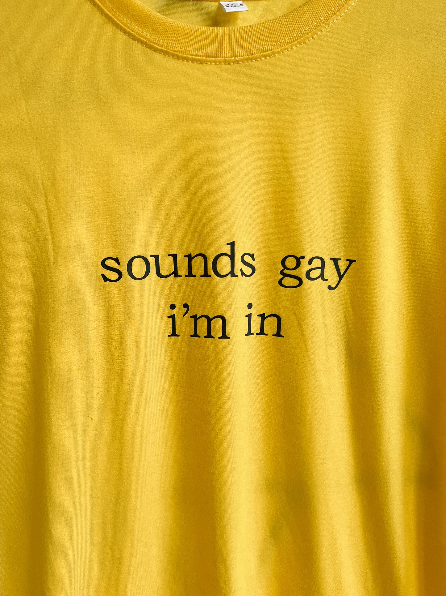 JOANN - sounds gay i'm in shirt - XXXL