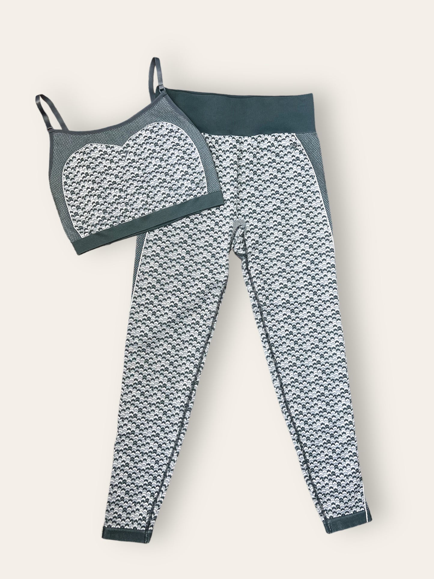 JOANN - Gymshark Grey set